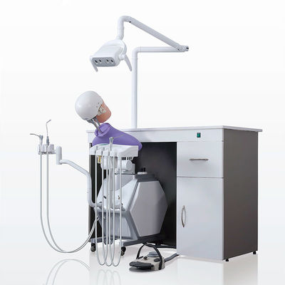 Storable Phantom Head Dental Simulator Unit Multifunctional Removable