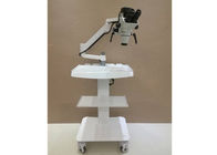 Built-in Type Digital Dental Medical Root Canal Therapy Operating Microscope