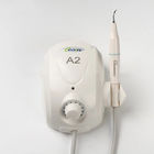 A2 Ultrasonic Dental Scaler , Teeth Cleaning System 0.5a / 250v Fuse