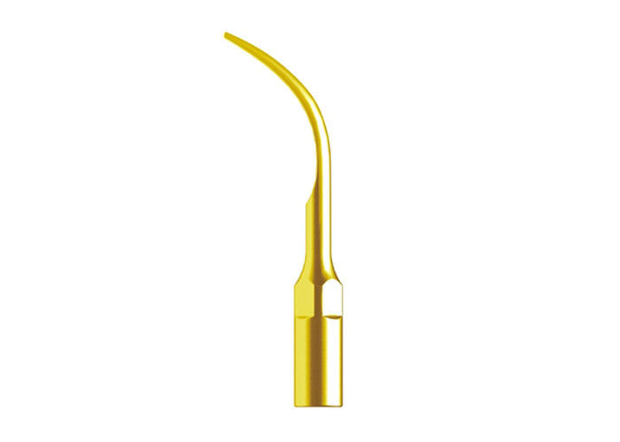 Endodontics Dental Ultrasonic Scaler Handpiece Scaler Tip Golden Color