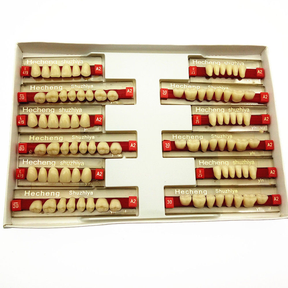 Dental Materials Multi Layer Synthetic Dental Resin Dentures Teeth FDA