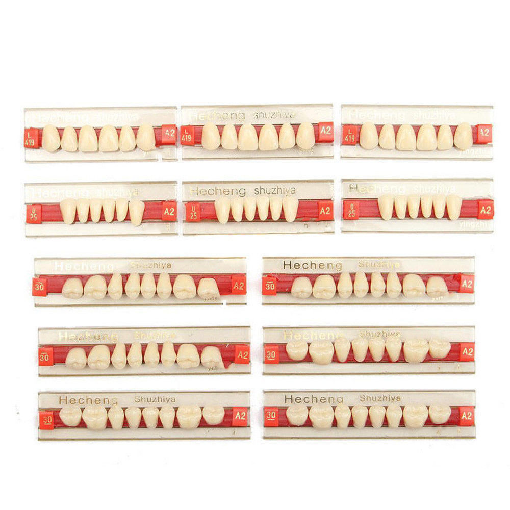 Dental Materials Multi Layer Synthetic Dental Resin Dentures Teeth FDA