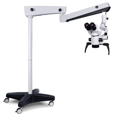 Microscope 100V-240V chirurgical dentaire démontable pour l'Endodontics