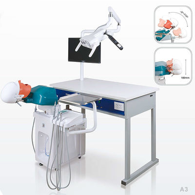 College School Phantom Head Dental Simulator ทนทานสำหรับทันตกรรม