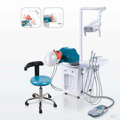 CE Dentistry Phantom Head Dental Simulator Multipurpose Storable