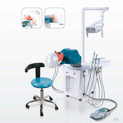 CE Kedokteran Gigi Phantom Head Dental Simulator Serbaguna Dapat Disimpan