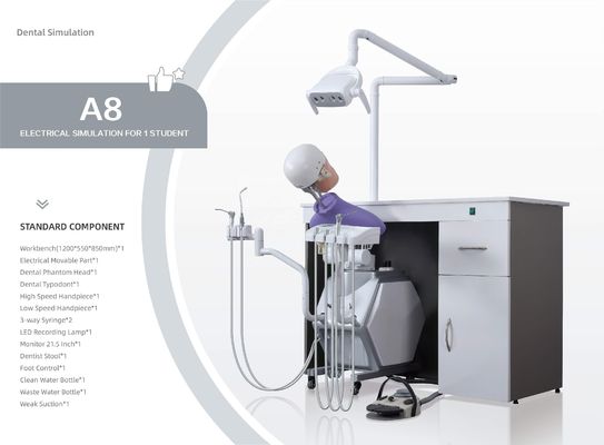 Storable Phantom Head Dental Simulator Unit Multifunctional Removable