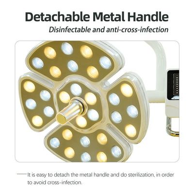 Lampe à LED dentaire à C.A. 15V-24V, lumières opératoires dentaires multifonctionnelles de LED