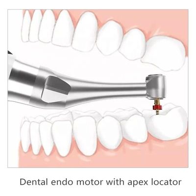 Endo Handpiece With Apex Locator sans fil durable 120-1000RPM