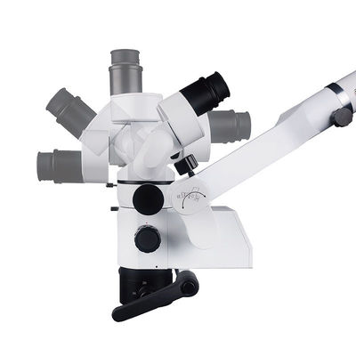 Microscope 100V-240V chirurgical dentaire démontable pour l'Endodontics