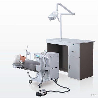 College School Phantom Head Dental Simulator Durable For Dentistry
