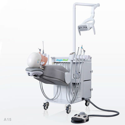College School Phantom Head Dental Simulator Durable For Dentistry