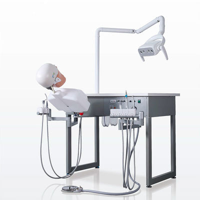 CE Kedokteran Gigi Phantom Head Dental Simulator Serbaguna Dapat Disimpan