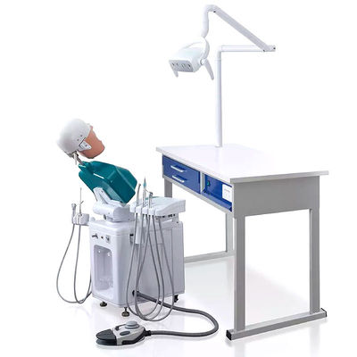 Multiscene Phantom Head Dental Simulator nhẹ với máy ảnh