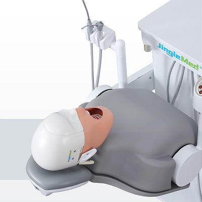 Multiscene Phantom Head Dental Simulator Lightweight con la cámara