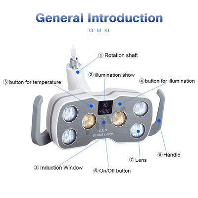 Luz dental 9W de la silla de la temperatura de color del doble 1.5KG para profesional