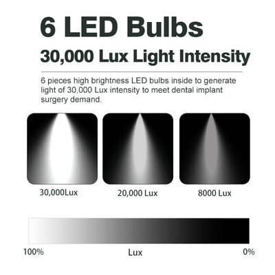 Luce dentaria della sedia dell'ABS 9W del metallo che illumina dispositivo per odontoiatria una garanzia da 1 anno