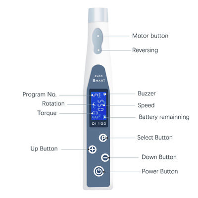 Trattamento Endodontic del principale canale che ricambia la luce di Endo Motor With LED