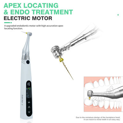 Endo Motor 6:1 With Apex Electric Motor For Endo Treatment Dental Endo Motor